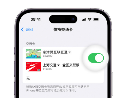 华容apple维修点分享iPhone上更换Apple Pay快捷交通卡手绘卡面 