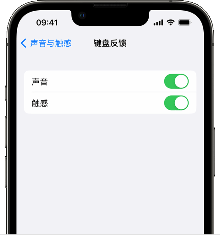 华容苹果14维修店分享如何在 iPhone 14 机型中使用触感键盘 