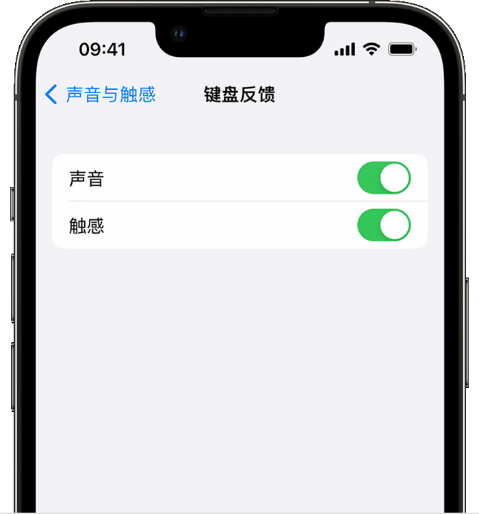 华容苹果14维修分享iPhone 14 系列机型如何开启键盘声音或触感反馈 