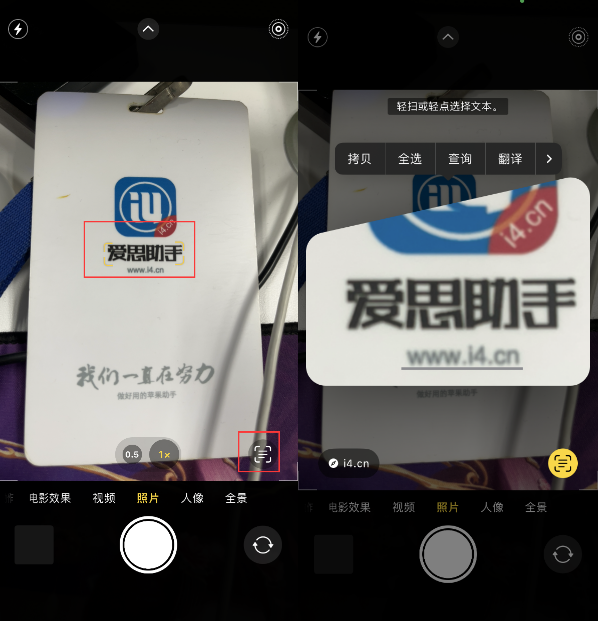 华容苹果手机维修分享升级iOS 16后如何通过相机翻译文本 