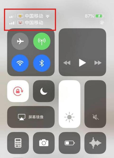 华容苹果手机维修分享为 iPhone 12 双卡设置标签 